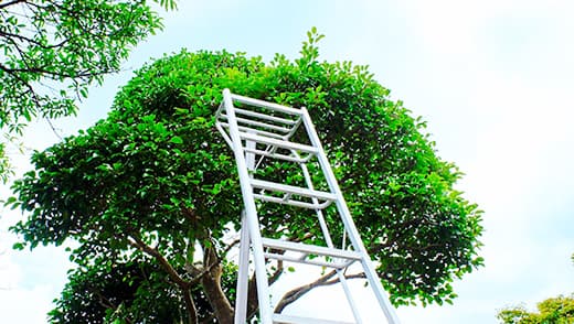 木1本からでもOKの柔軟な対応力