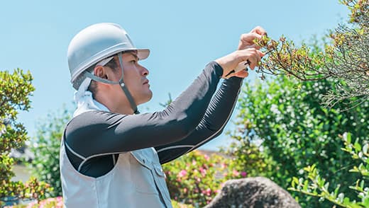 造園・庭づくり・樹木管理