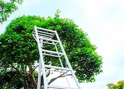 木1本からでもOKの柔軟な対応力